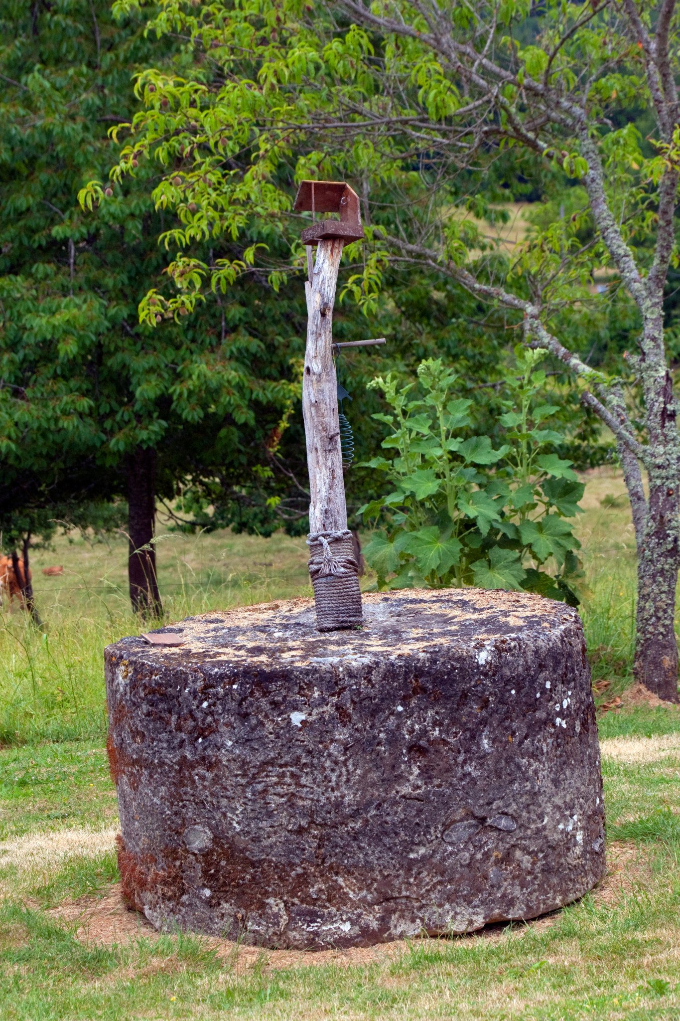 Moulin Noix - photo 31